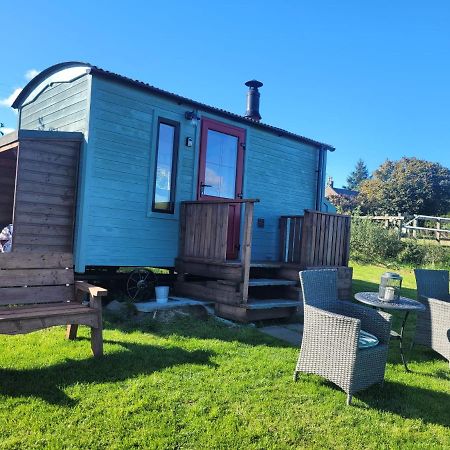 The Shepherds Hut At Forestview Farm Greenisland Exterior foto