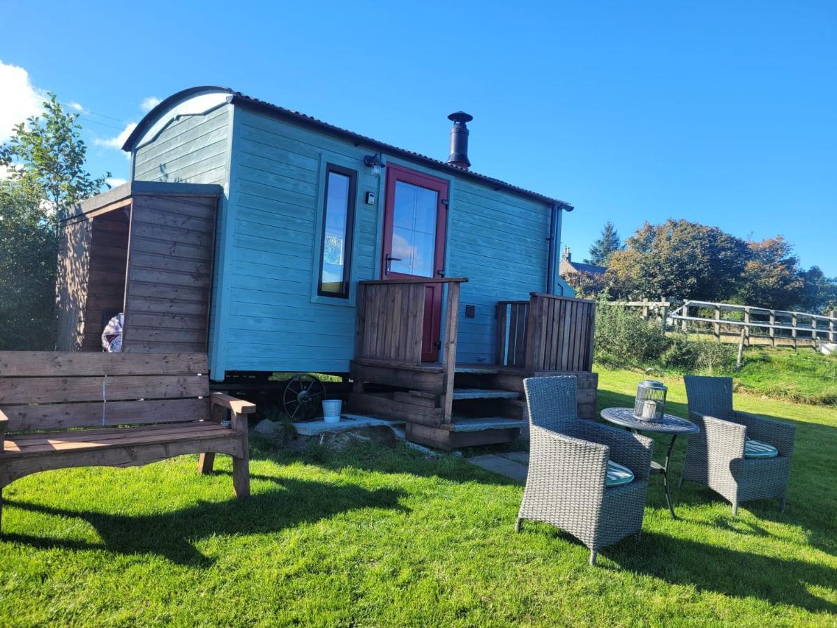 The Shepherds Hut At Forestview Farm Greenisland Exterior foto